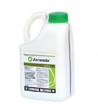 Блейк